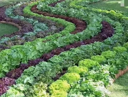 植物生態(tài)溫室